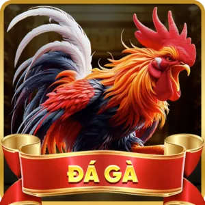 Cấp Bậc Bạch Kim